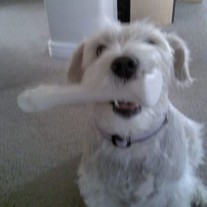 Meet your Posher, Donna